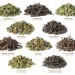Types of Oolong Teas